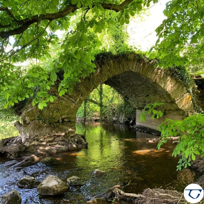 James Leahy Babes Bridge