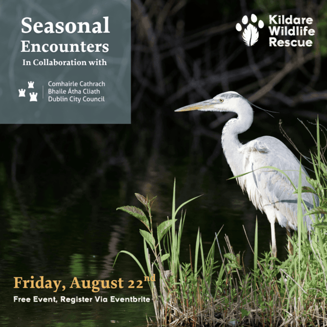 KWR Seasonal Encounters Webinar 22nd August 2025 5 KWR Seasonal Encounters Webinar 22nd August 2025 5