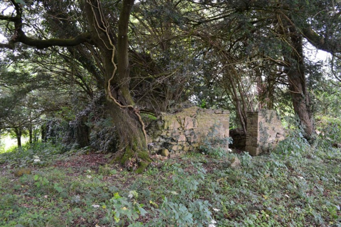 Kilcolmanbane graveyard