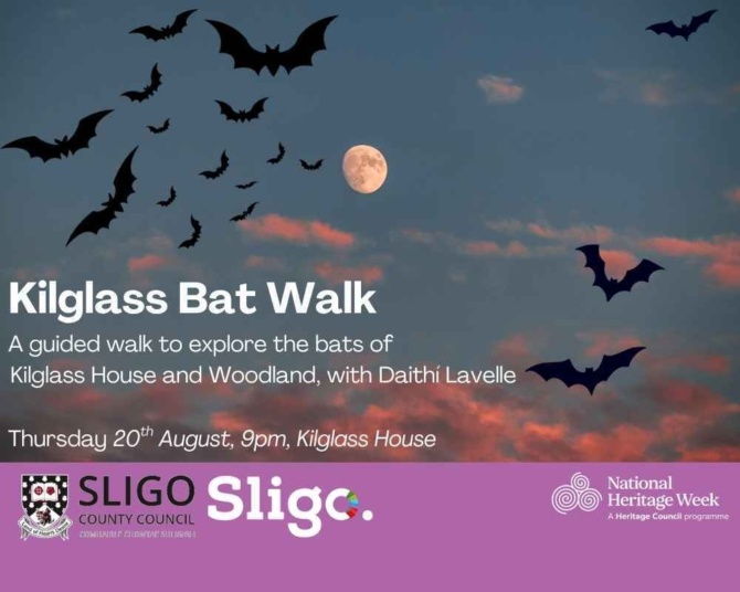 Kilglass Bat Walk Kilglass Bat Walk