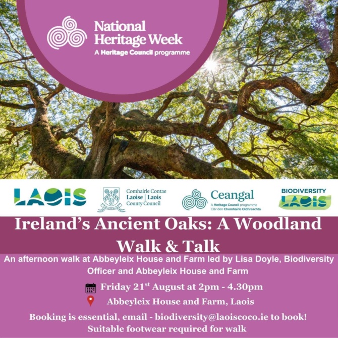 Laois NHW Social Media 1