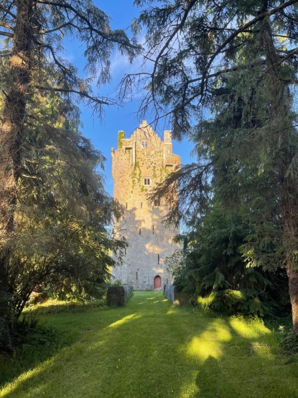 Lohort Castle Desmond Sharp Bolster Lohort Castle Desmond Sharp Bolster