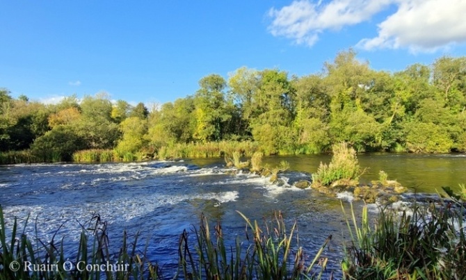 Lower Shannon 1 Oct 2024 No 3