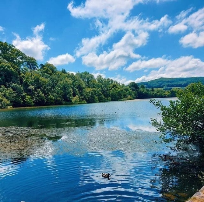 Marlfield Lake2 Marlfield Lake2