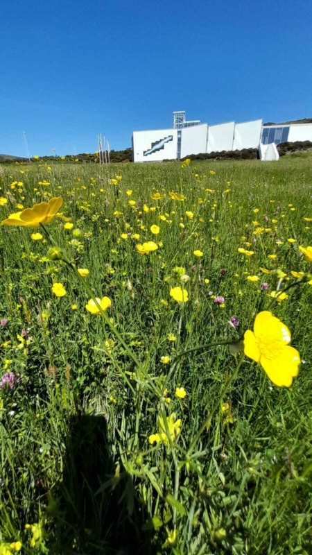 Nat Park Meadow Nat Park Meadow