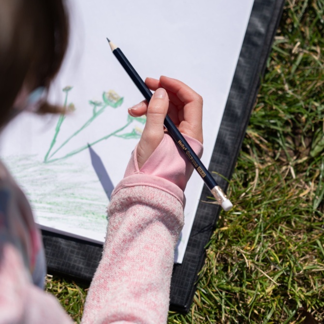 Nature Sketching Website