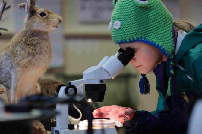 Nature fun day image 1 1 4 Nature fun day image 1 1 4