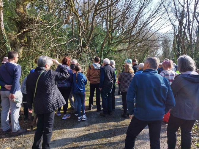 Public Tree walk
