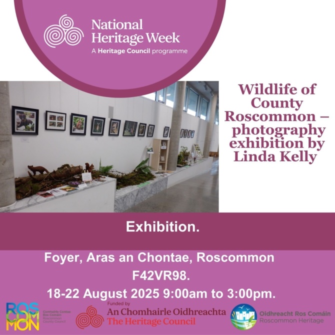 Wildlife of County Roscommon photography exhibition Wildlife of County Roscommon photography exhibition