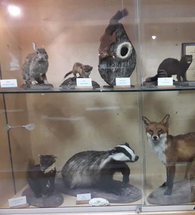 Tour of Zoology and Marine Biology Museum and Live Animal Display