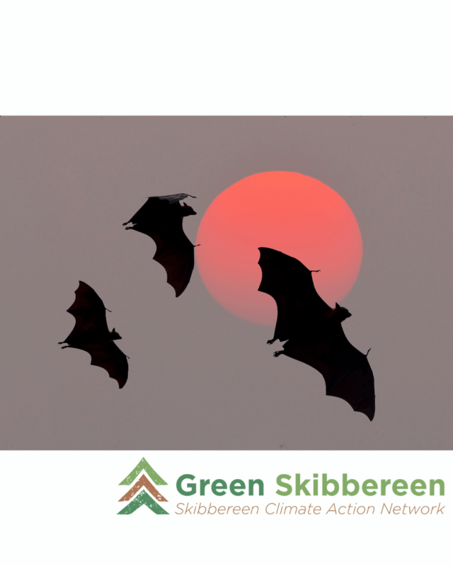 Bat