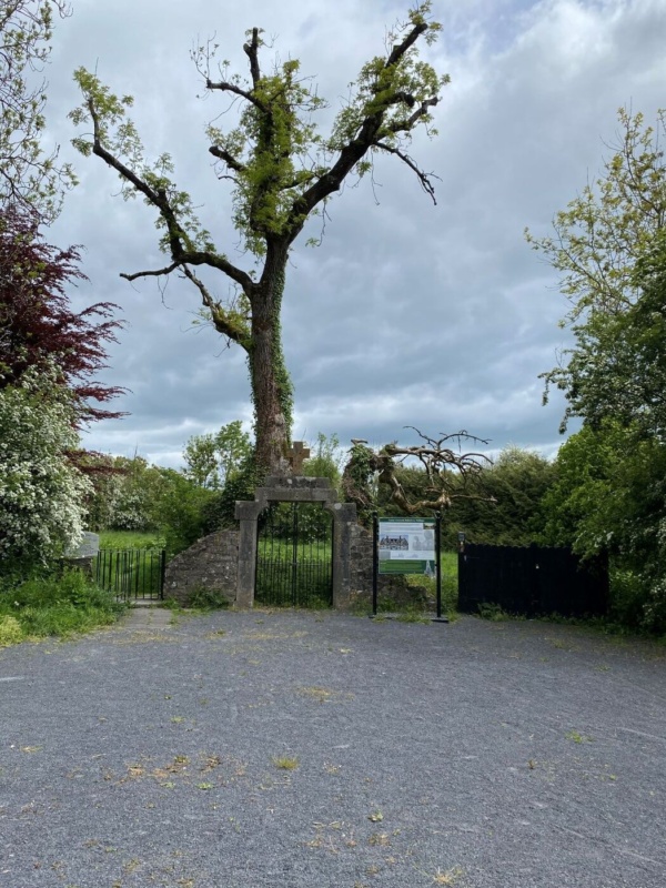 Graveyard famine walk
