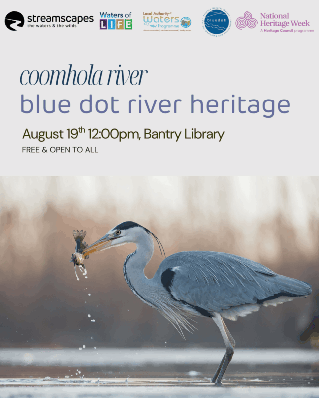 Library heritage event 3