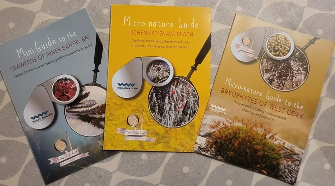 Miniguides Miniguides