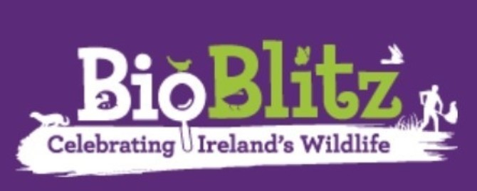 Bio Blitz Logo Bio Blitz Logo