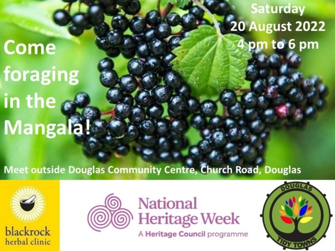 Foraging Poster Foraging Poster