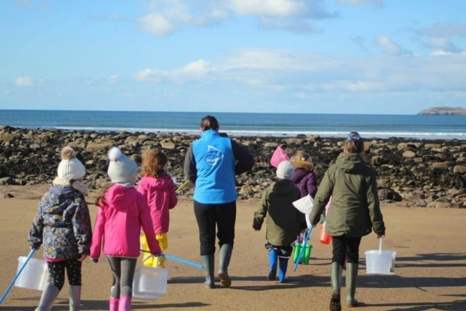 Seashore Safari with Sea Synergy