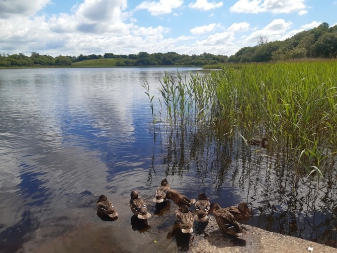 Clondorney Lake Family Fun Day (Tulla, Co. Clare)