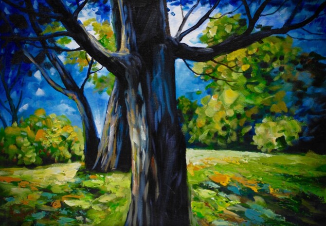 'Ards Forest': An Exhibition of Paintings and Photographs