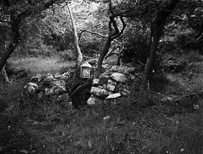 Holy Wells and Sacred Trees