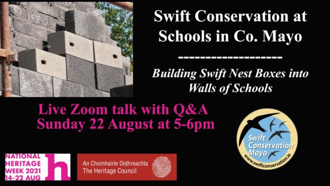 Swift Conservation at Schools in Co. Mayo