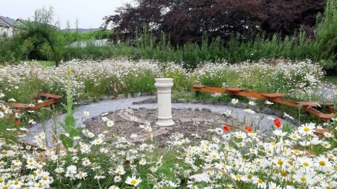 Siúlóid bithéagsúlachta / Biodiversity walk in the gardens of An Díseart, Dingle